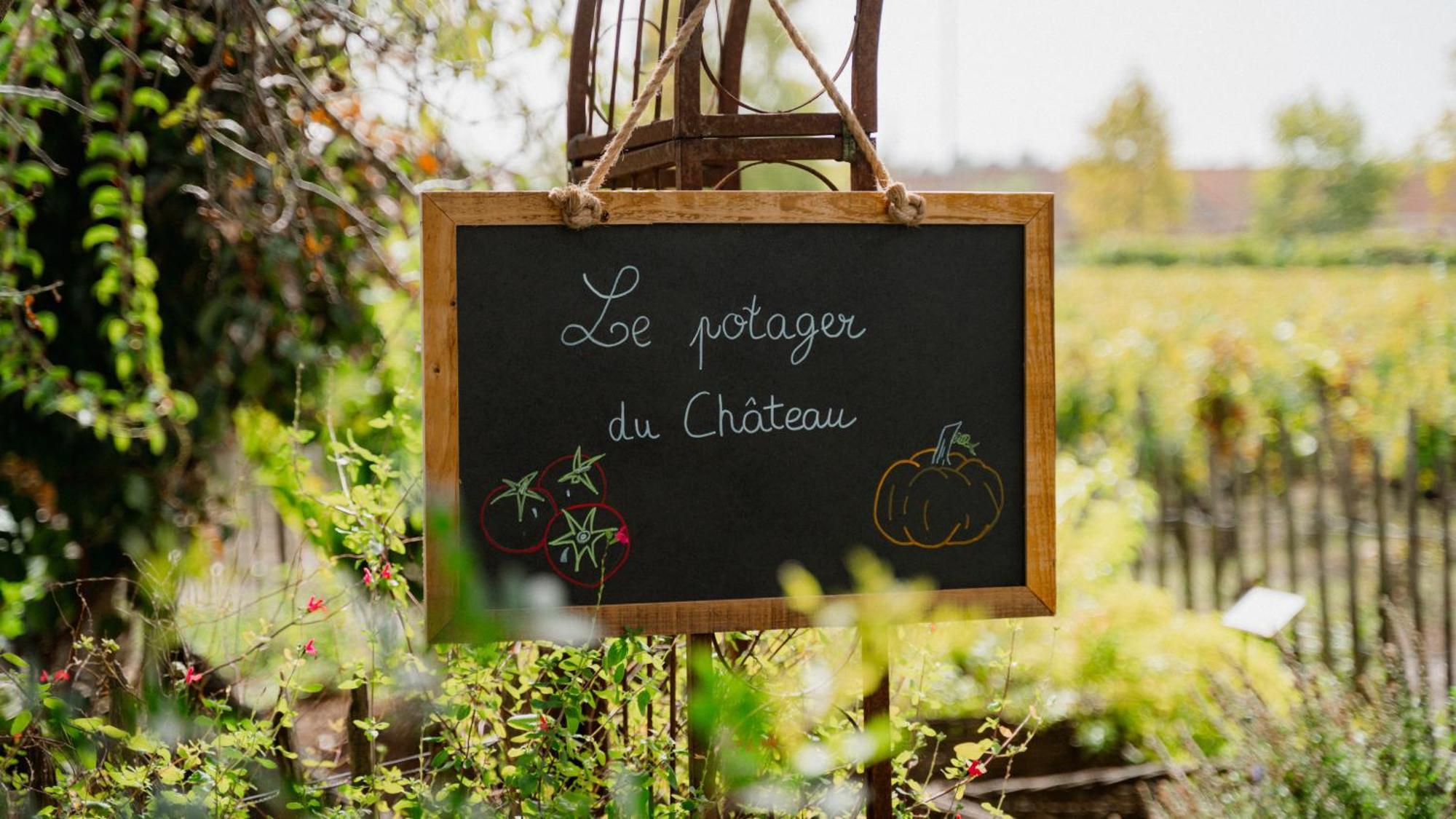Chateau Pape Clement 3* Pessac